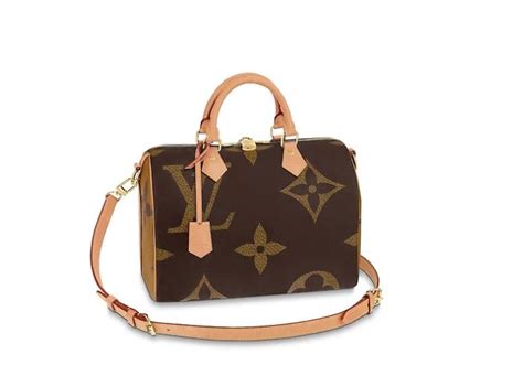 bauletto louis vuitton prezzi 2015